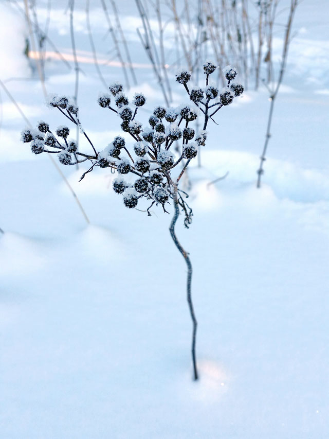 helsinki_finland_winter_06