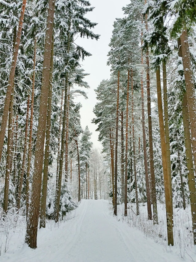 helsinki_finland_winter_uutela_04